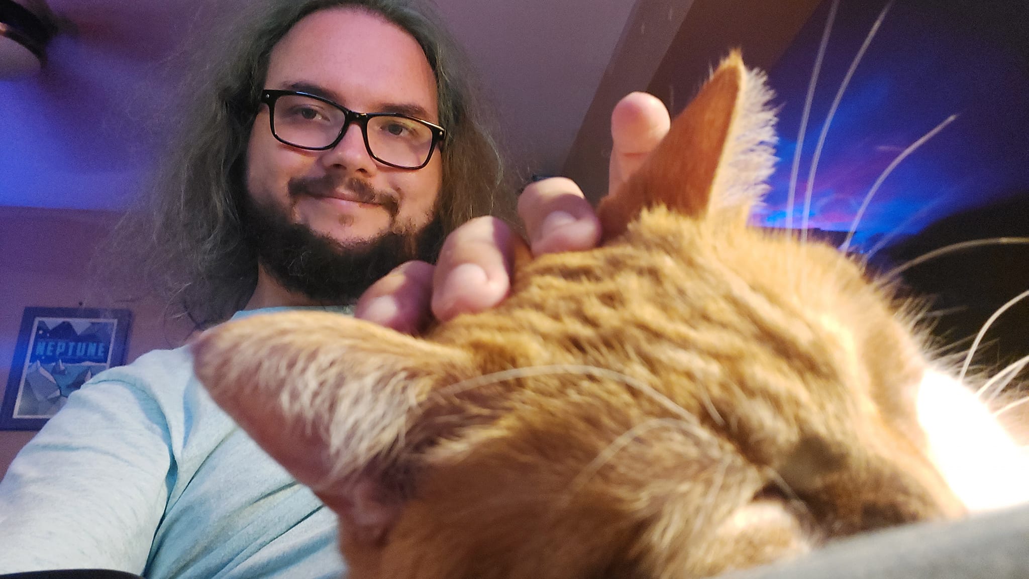 A man with green hair and a beard is on a computer chair with an orange cat sleeping in the foreground